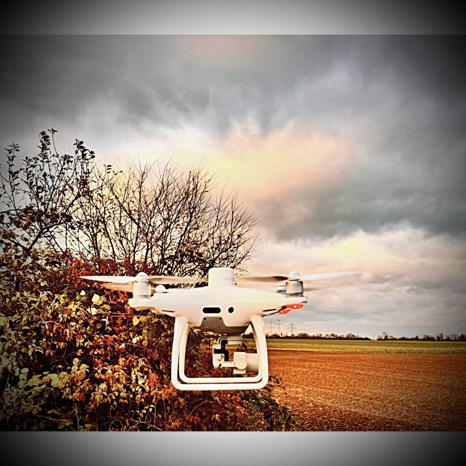 Terra Survey Solutions - Drohnenvermessung - weiße Drohne, die das landwirtschaftliche Feld überwacht